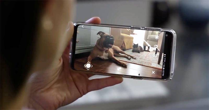Robot cho phép người dùng ‘gọi video’ với thú cưng từ xa
